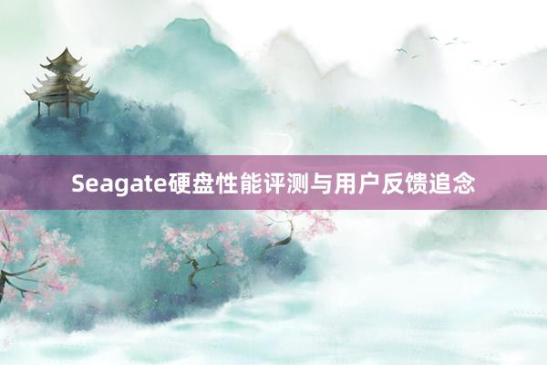 Seagate硬盘性能评测与用户反馈追念