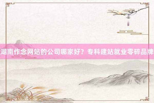 湖南作念网站的公司哪家好？专科建站就业零碎品牌