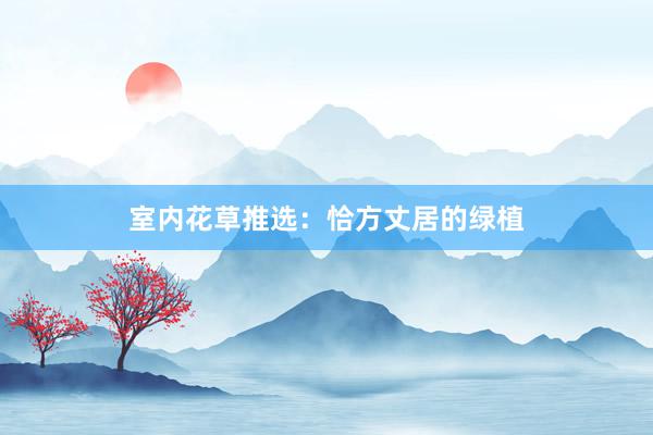 室内花草推选：恰方丈居的绿植