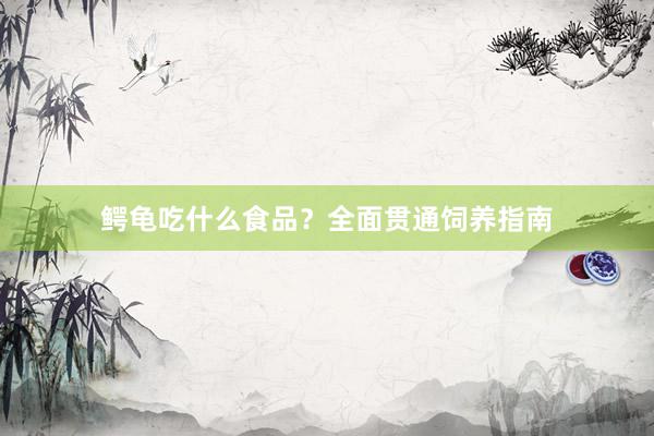 鳄龟吃什么食品？全面贯通饲养指南