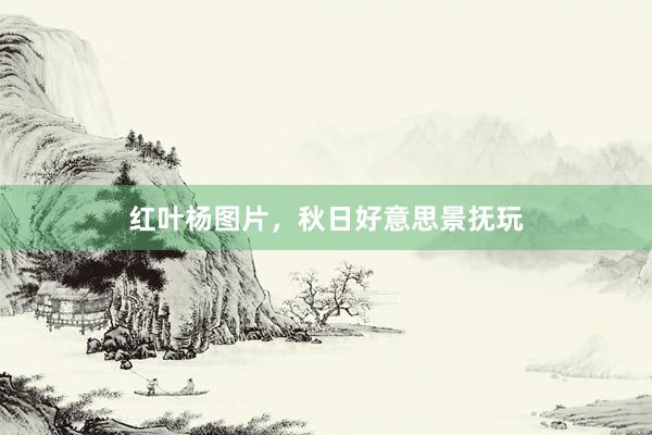 红叶杨图片，秋日好意思景抚玩